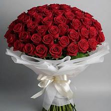 Букет 101 Красная роза Блэк Мэджик в Абадзехской