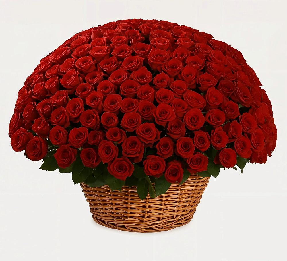 Премиум букет из: Розы в Абадзехской