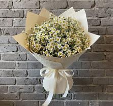 Букет цветов из:  Ромашки в Абадзехской