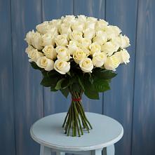 Букет 51 Белая роза Эдлесс Лав в Абадзехской