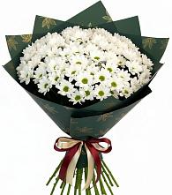 Букет цветов из:  Хризантемы #REPLACE_PRED# Абадзехской